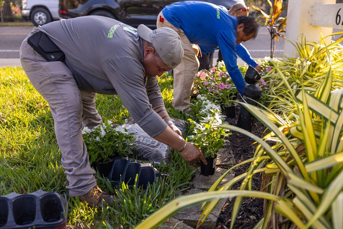 Planting & Installation