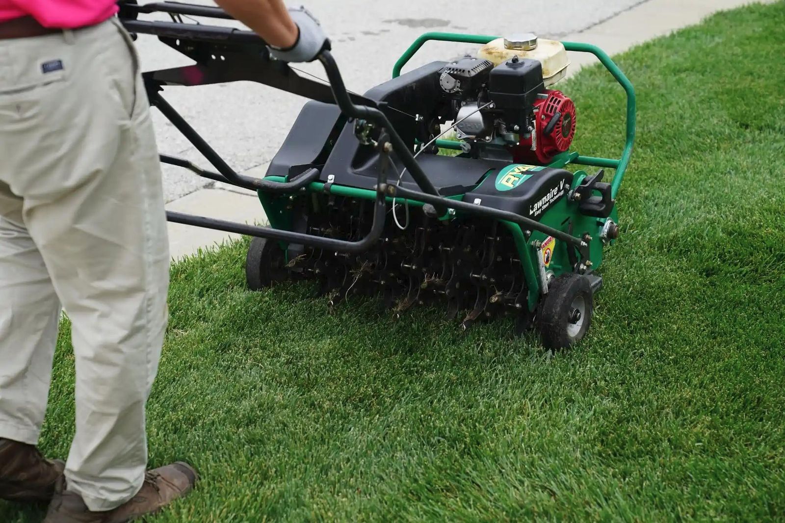 Aeration & Overseeding