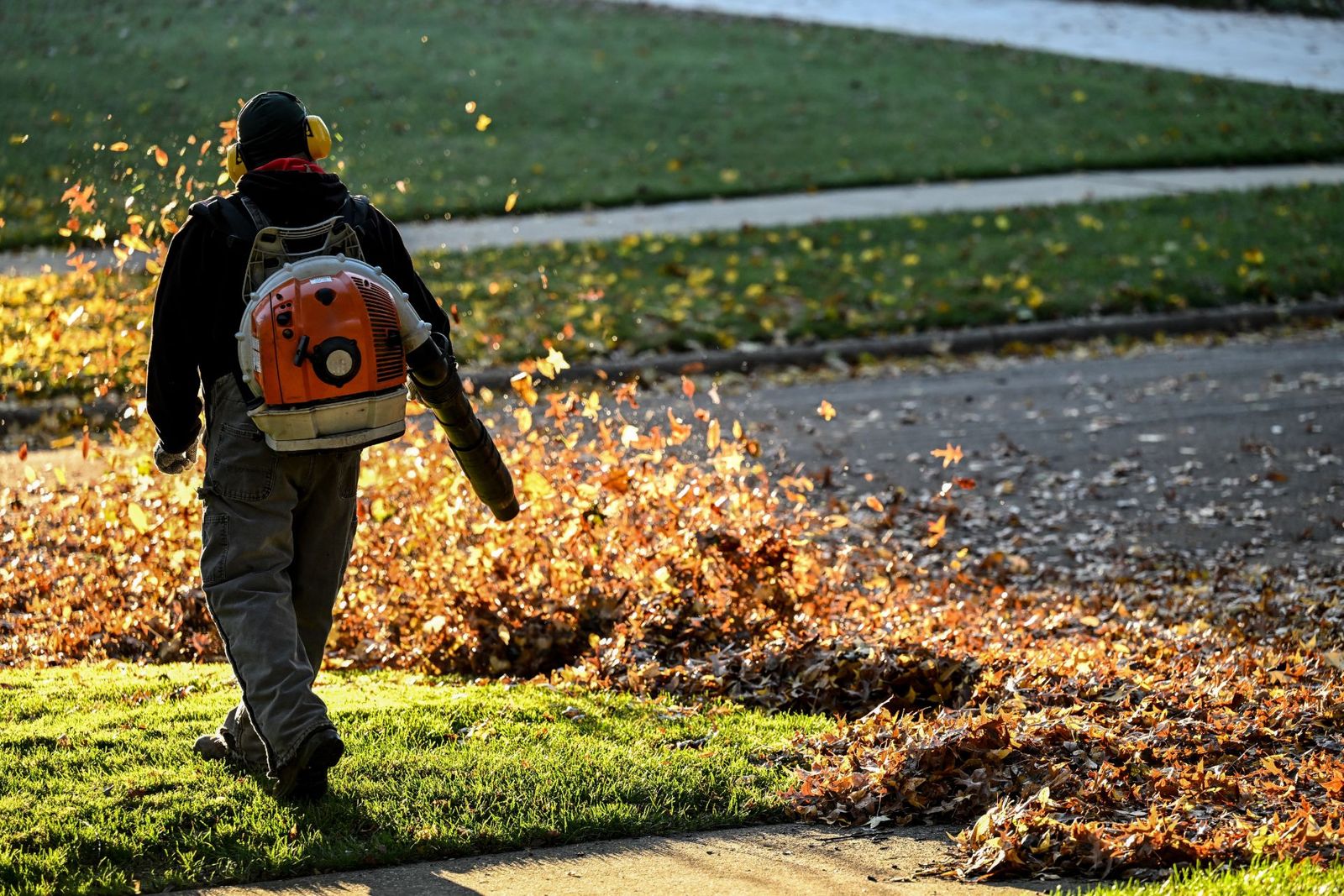 Fall Cleanup & Leaf Removal