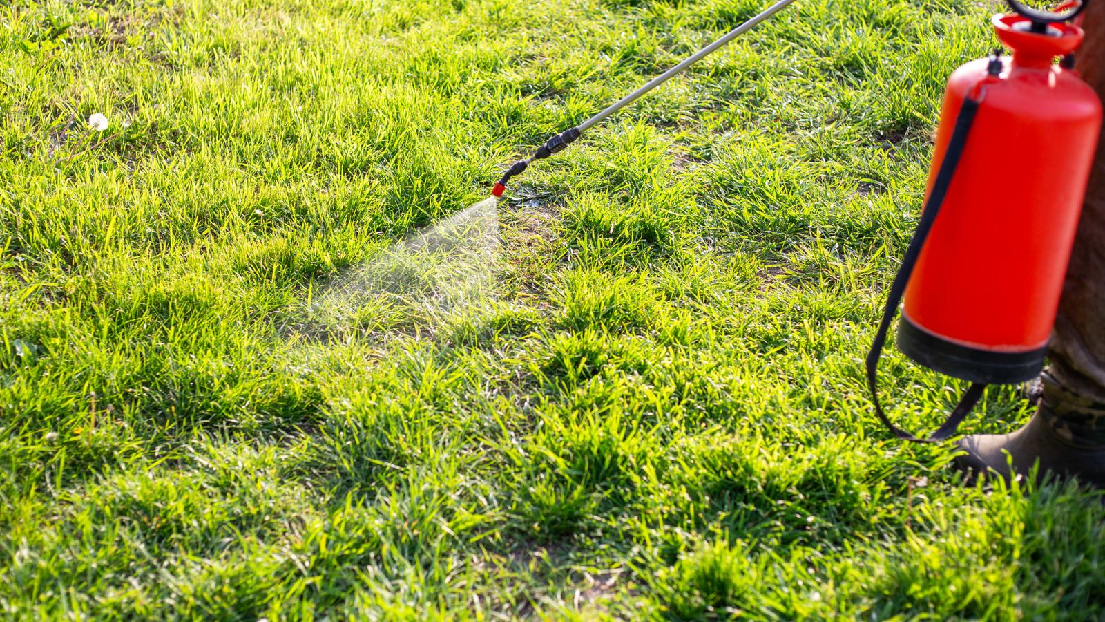 Disease & Pest Management