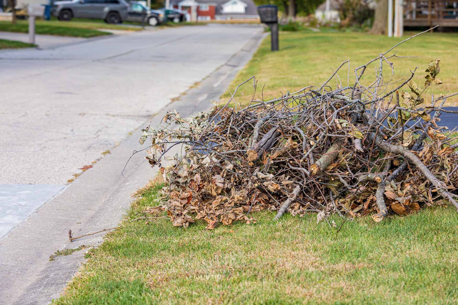 Debris Hauling & Property Tidying